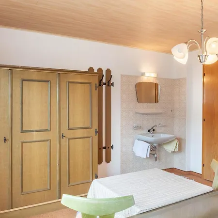 Dornauer Sommer Hippach