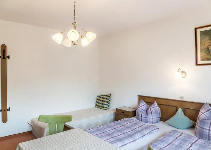 アパート Dornauer Sommer ヒパッハ