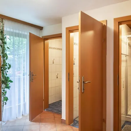 Dornauer Sommer Apartment Hippach