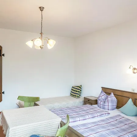 Dornauer Sommer Apartment Hippach